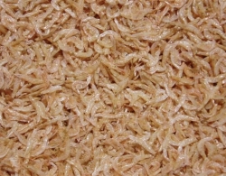 dried baby shrimp