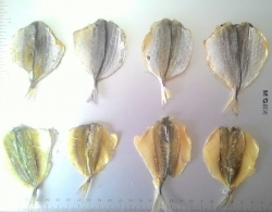 Dried Trevally